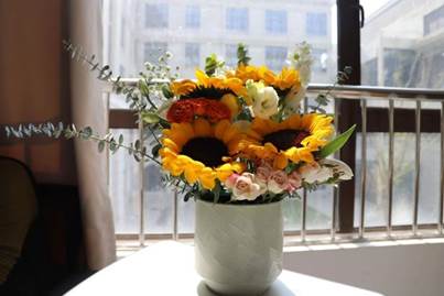 312dcb8b00af5221669f1f0de983b309