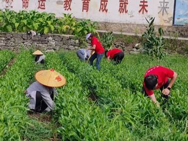 张和婿-图片-1
